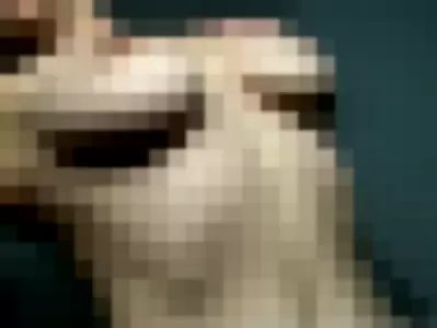 cultofjess profile photo