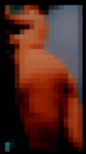 degrotesquedami profile photo