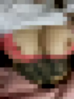 sans3v3rini profile photo