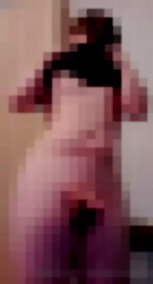 SamVulpes profile photo