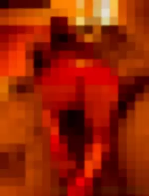 conamorlili profile photo