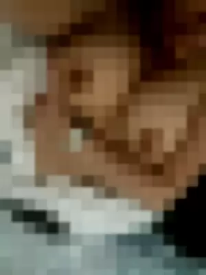 mncookies profile photo