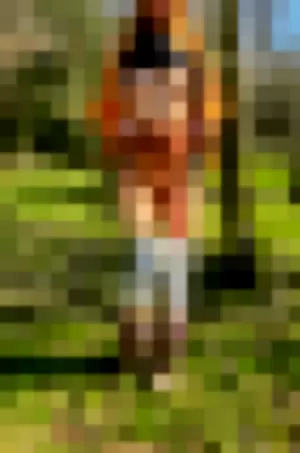 findingheidi profile photo