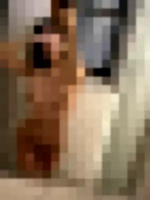 nekoboicarti profile photo