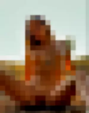 joanna98 profile photo
