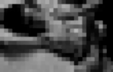 Jane Dove profile photo