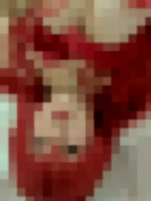 lysandefree profile photo
