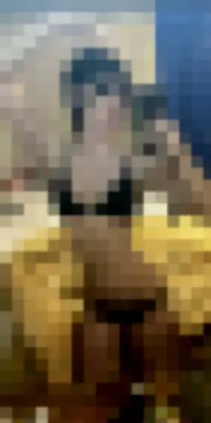 Antonsugarh profile photo
