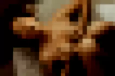 Paprika profile photo