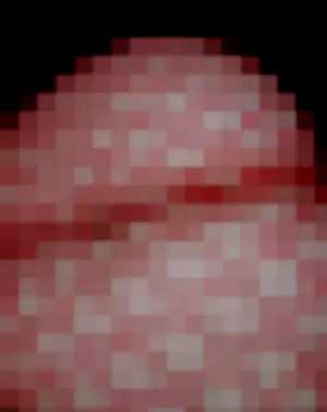 togeraii profile photo