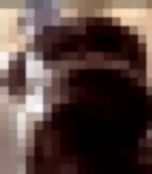 SueAnn profile photo