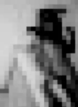 Vanniall profile photo