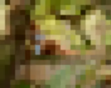 onlytaz profile photo