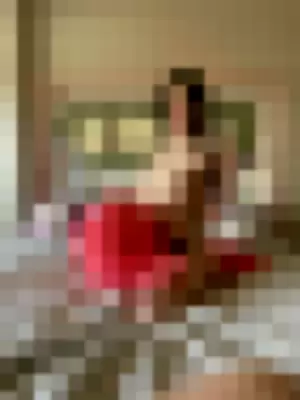 Bella Quinn profile photo