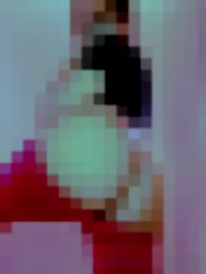 poppykoch profile photo