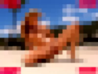 August Night Nude Onlyfans Photo Gallery photo 594