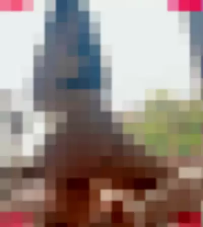 Mayumouse Nude Onlyfans Photo Gallery photo 142