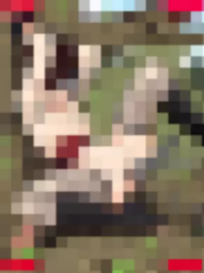 Naruto Nude Onlyfans Photo Gallery photo 673