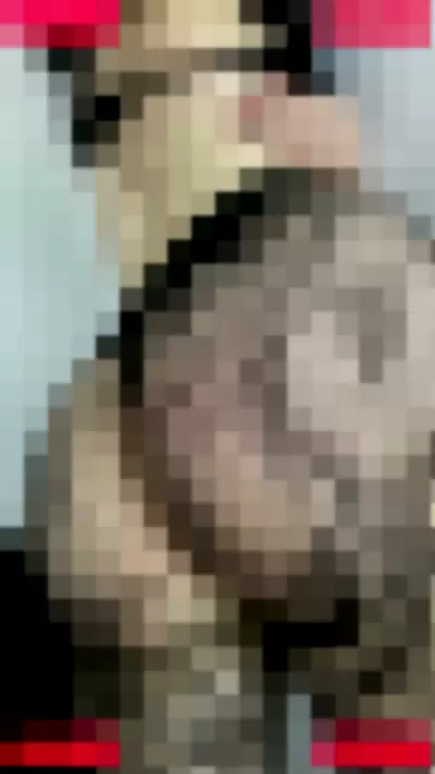 Purrincessjoy Nude Onlyfans Photo Gallery photo 461