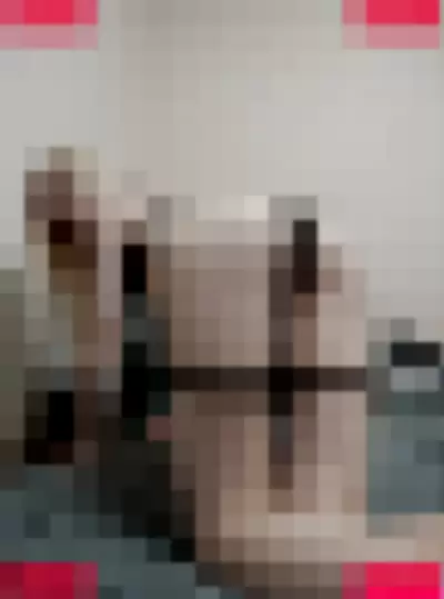 flov_princess Nude Onlyfans Photo Gallery photo 453