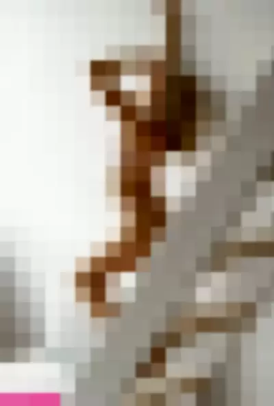 jacquelinax Nude Onlyfans Photo Gallery photo 178