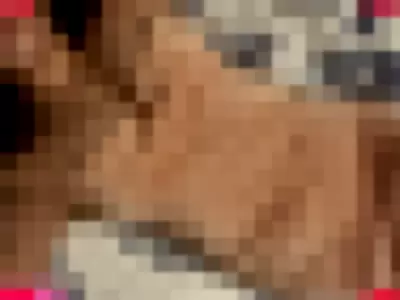tessanextdoor Nude Onlyfans Photo Gallery photo 2