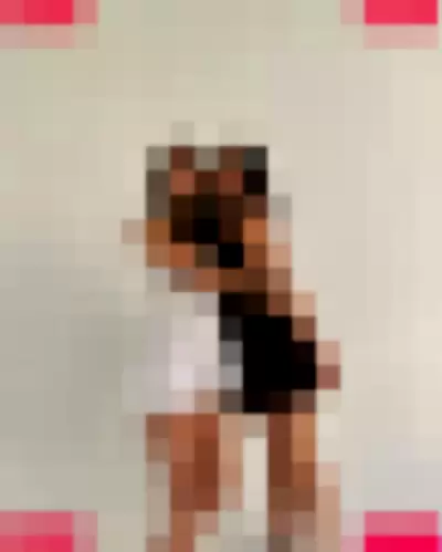 Sara Echeagaray Nude Onlyfans Photo Gallery photo 231