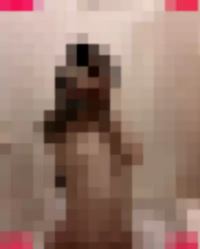shysugars Nude Onlyfans Photo Gallery photo 1205