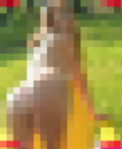 Sunkitty Nude Onlyfans Photo Gallery photo 24