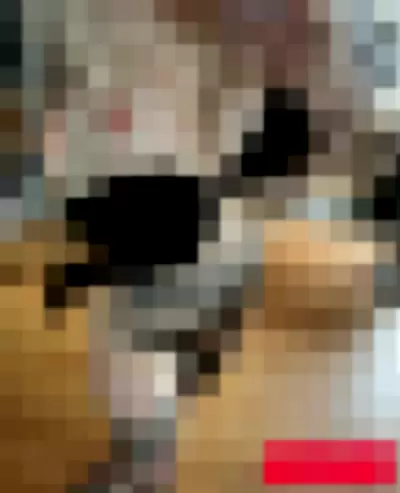 Bexuki Nude Onlyfans Photo Gallery photo 566