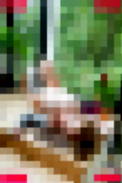 Sierhaus Nude Onlyfans Photo Gallery photo 789