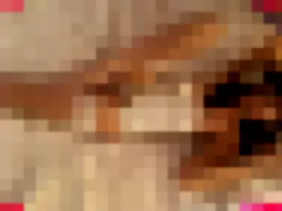 nylonskitten Nude Onlyfans Photo Gallery photo 546