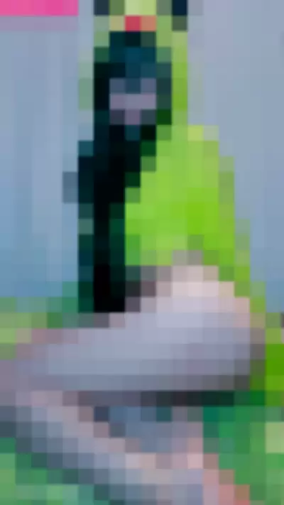 Alesa Nude Onlyfans Photo Gallery photo 91