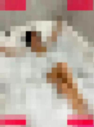 Coryna Ponce Nude Onlyfans Photo Gallery photo 230