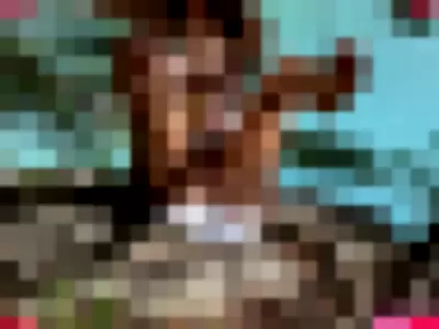 thegreysvip Nude Onlyfans Photo Gallery photo 182