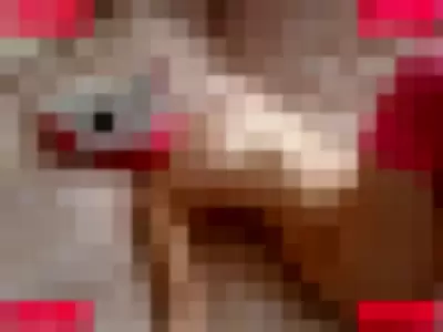 PDoctress Nude Onlyfans Photo Gallery photo 69