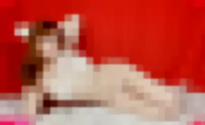 nocturnekitty Nude Onlyfans Photo Gallery photo 872