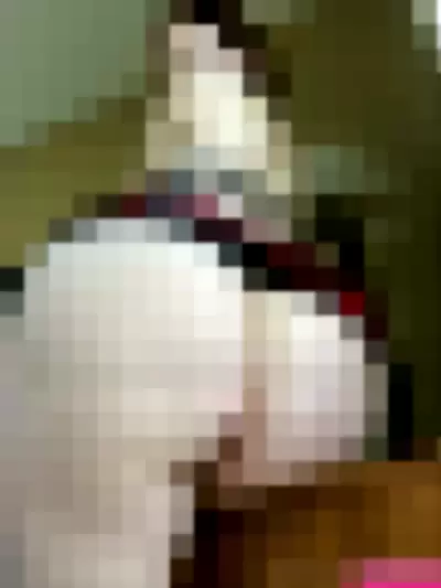 Isabellaxrated Nude Onlyfans Photo Gallery photo 187