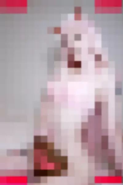 Hannahhyrule Nude Onlyfans Photo Gallery photo 696