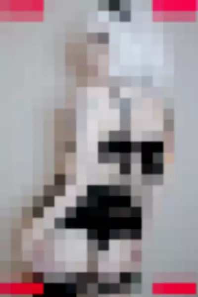 Hannahhyrule Nude Onlyfans Photo Gallery photo 502