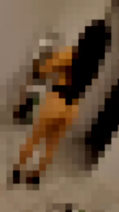 Msdarlingboo - CnGcFR1P2J