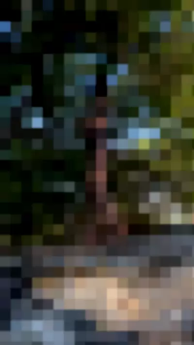 blissfulellie Video video thumbnail