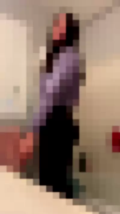Aspen Reed - vYFyz2L6yt