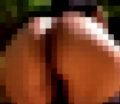 pandabearsworld / sexypanda / sexypandarl - y6brFKUGC2 video thumbnail