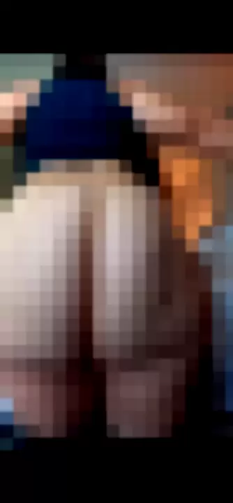 fishnethousepet - atfUgZqA8L