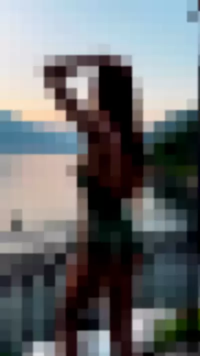 linadiaa - 5WSdcFTk4R