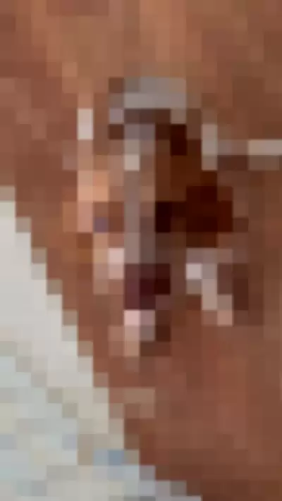 Lananegrini - Z11BLFLdae video thumbnail