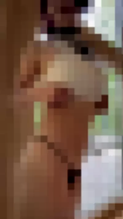 sneesnaw_vip - oGJIKQqasH