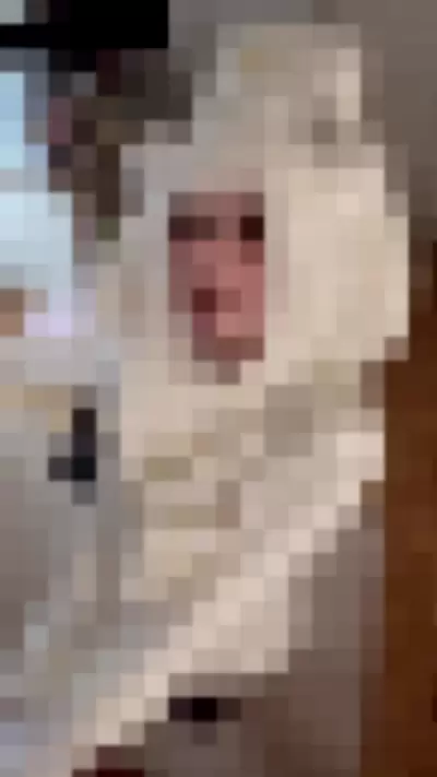 SuiSaiUwU - HsCetx9y3Q