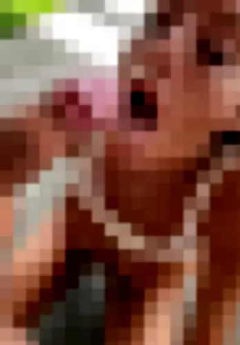 Jessika Gotti - jaVQt63S1t video thumbnail